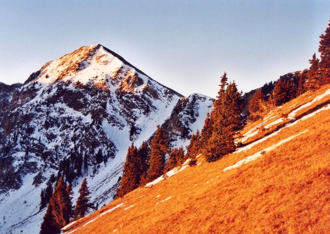 Medicine Walk, 13 June 2020